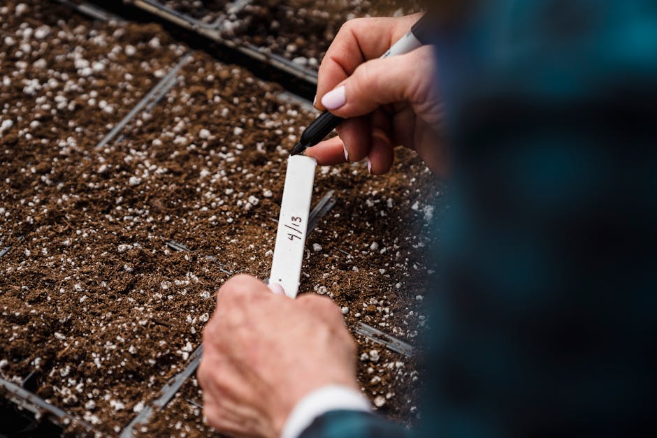 Close-up image of a gardener writing dates on a plant label in newly sown soil.