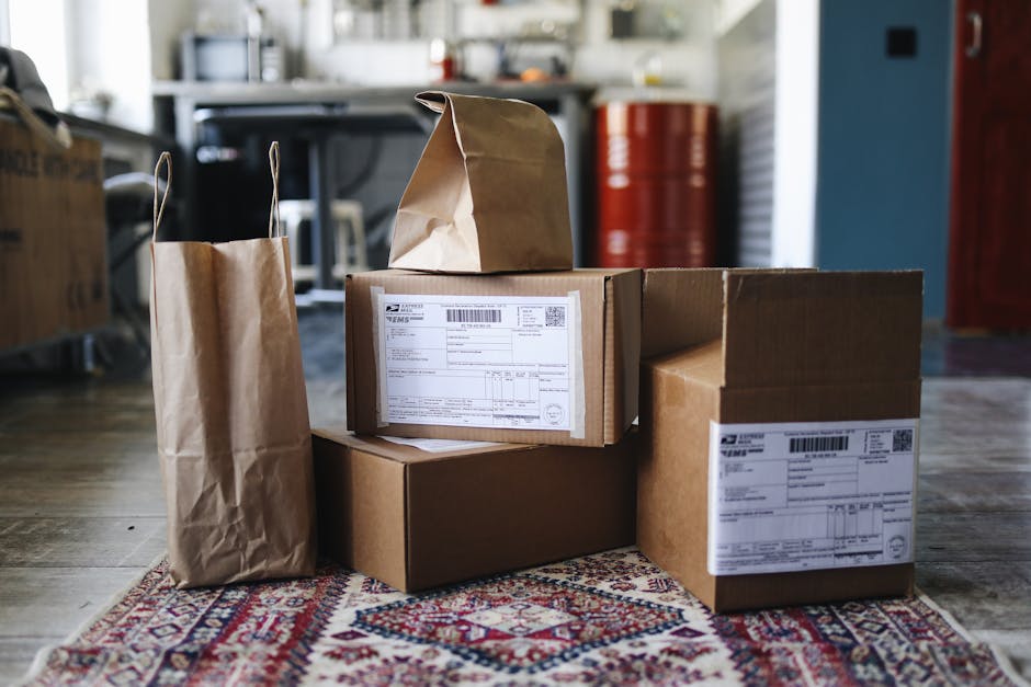 A collection of cardboard boxes and paper bags on a patterned rug in a home setting.