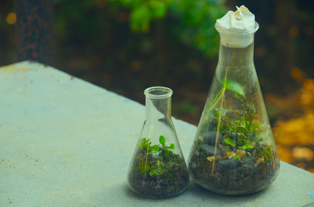 A couple of bottles filled with plants on top of a table